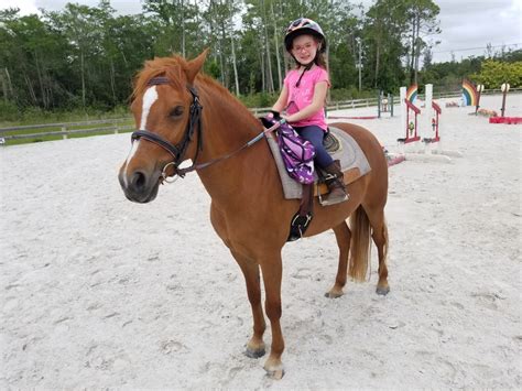 Equestrian near me - Jump Lesson. $ 166.00 – $ 1,232.00 inc GST Select options. Wattle Creek Equestrian Centre offers horse riding lessons in Brisbane. We offer a safe, convenient location to learn to ride. Call 3300 6422 now to book.